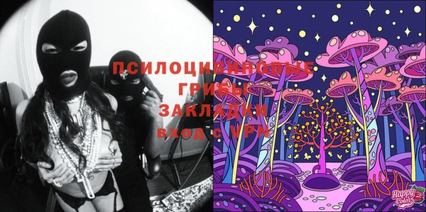 стафф Гусь-Хрустальный