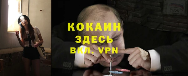 стафф Гусь-Хрустальный