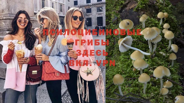 стафф Гусь-Хрустальный